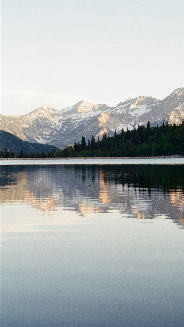 1290x2796 Mountains reflect beautifully in the still lake wa... -  iPhone Wallpaper