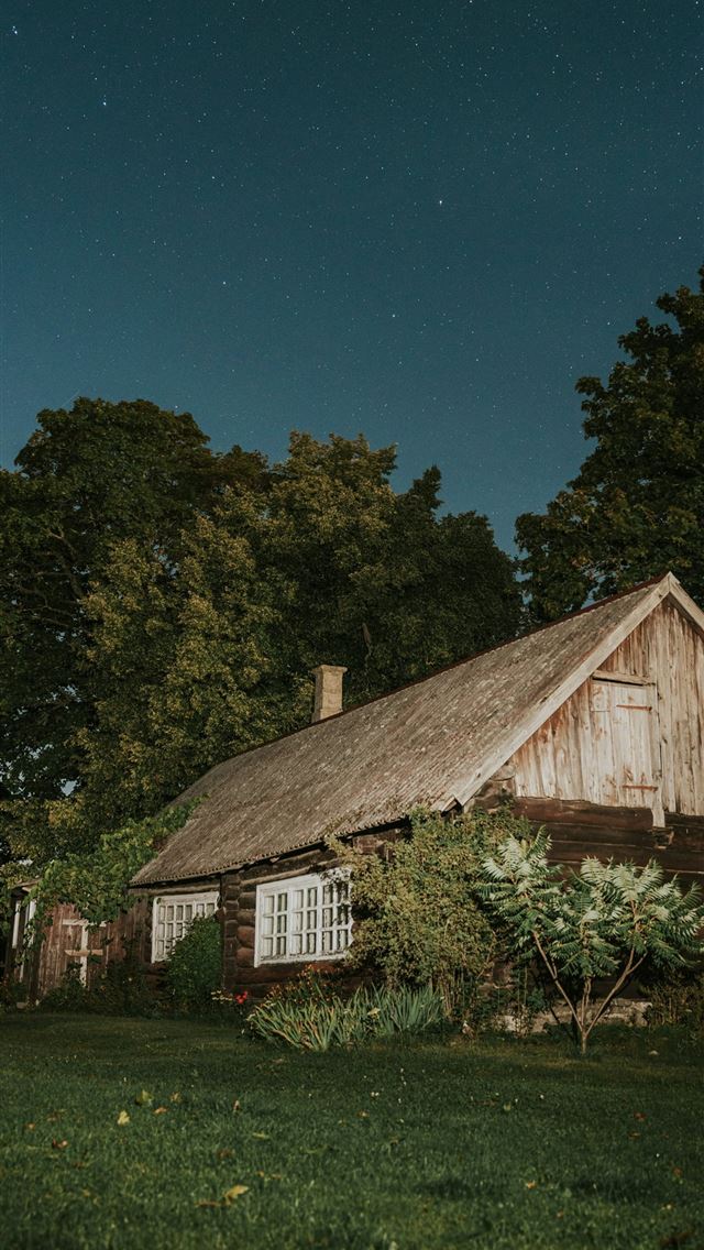 1290x2796 A house with a thatched roof in the middle of a fi... -  iPhone Wallpaper