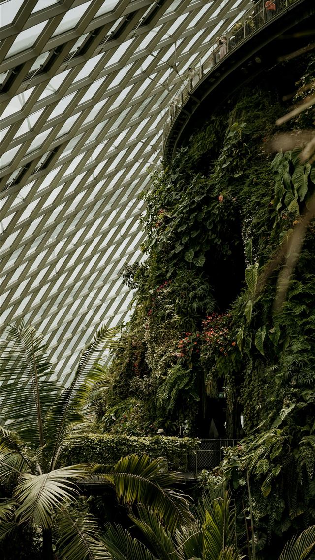 1290x2796 The inside of a building with plants growing on it -  iPhone Wallpaper