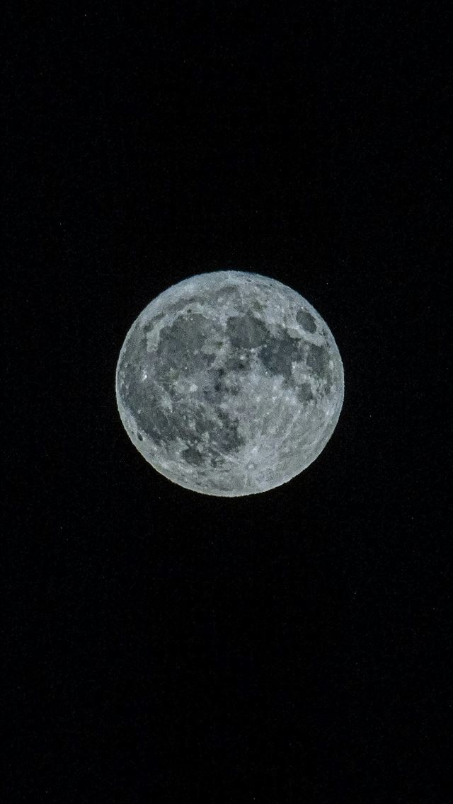 1290x2796 A full moon is seen in the night sky -  iPhone Wallpaper
