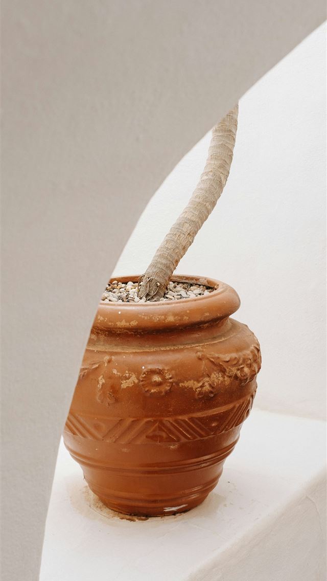 1290x2796 A clay pot with a rope sticking out of it -  iPhone Wallpaper