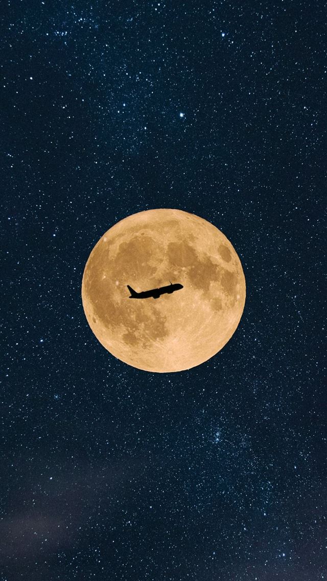 1242x2688 A bird flying in the sky with a full moon in the b... -  iPhone Wallpaper
