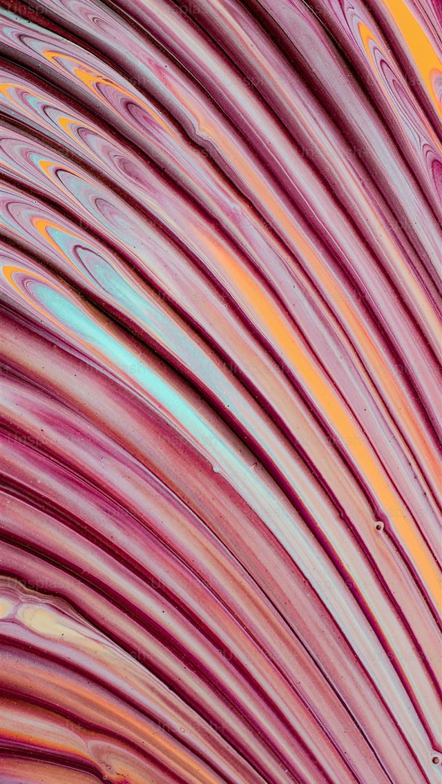 1290x2796 a close up view of a pink and orange flower -  iPhone Wallpaper