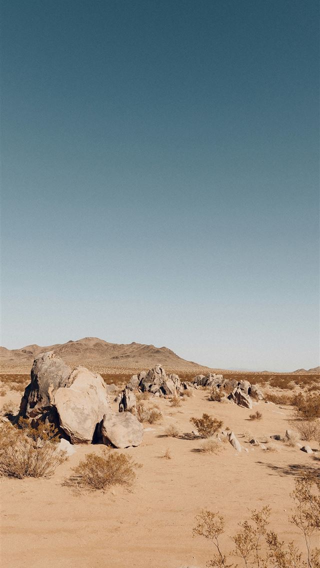 1290x2796 brown sand under blue sky during daytime -  iPhone Wallpaper