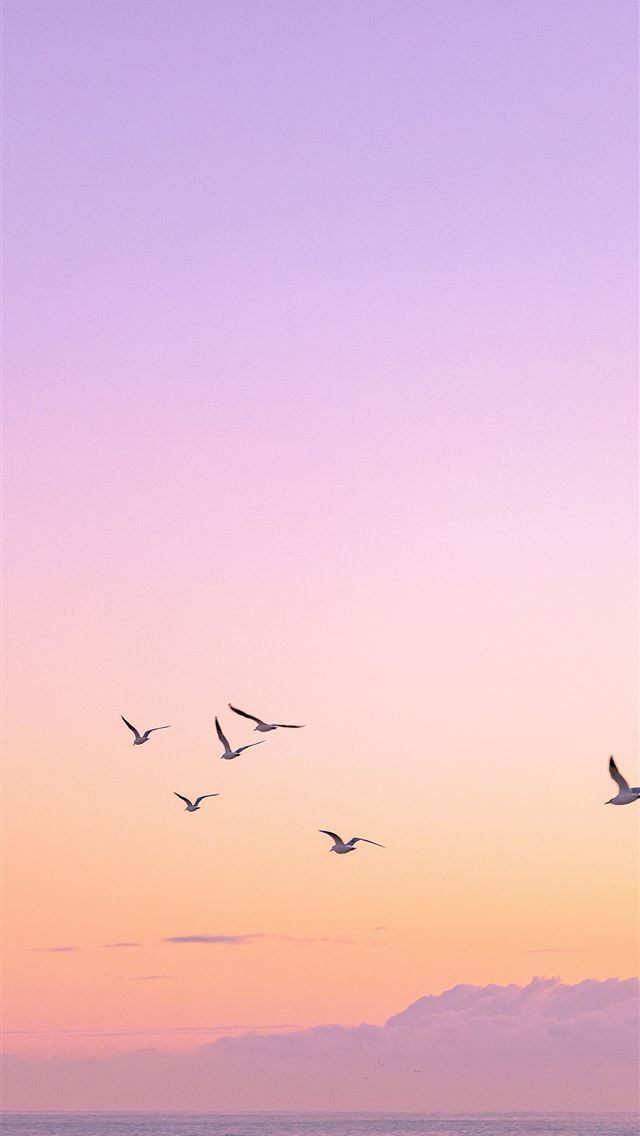 1290x2796 birds flying in the sky -  iPhone Wallpaper