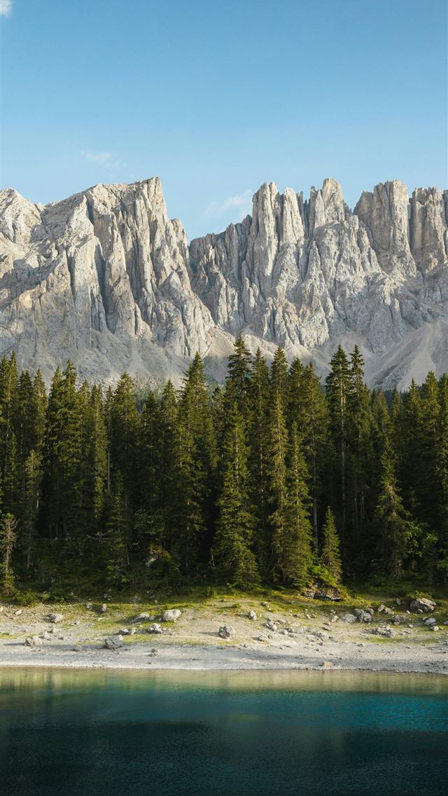 1290x2796 a lake with trees and a mountain in the background -  iPhone Wallpaper