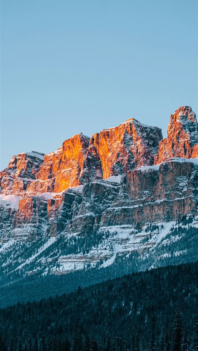 1290x2796 a snow covered mountain with trees in the foregrou... -  iPhone Wallpaper