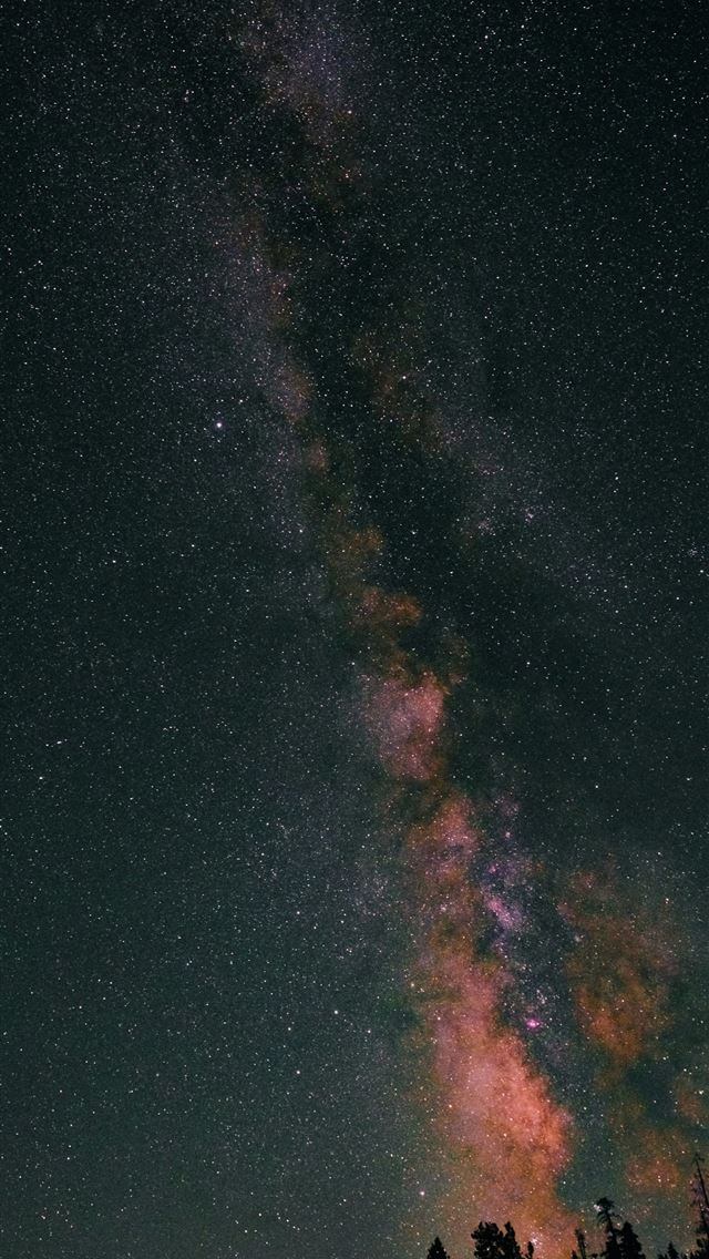 1290x2796 The night sky is filled with stars and trees -  iPhone Wallpaper