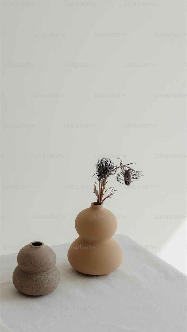 1290x2796 a couple of vases sitting on top of a table -  iPhone Wallpaper