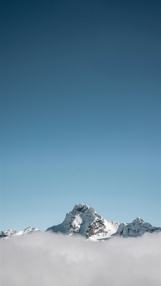 1290x2796 selective focus photography of white mountain unde... -  iPhone Wallpaper