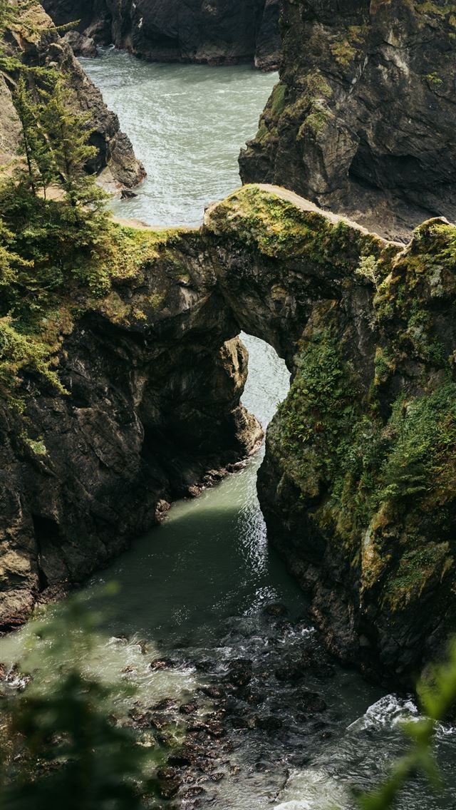 1290x2796 a river flowing under a bridge surrounded by trees -  iPhone Wallpaper