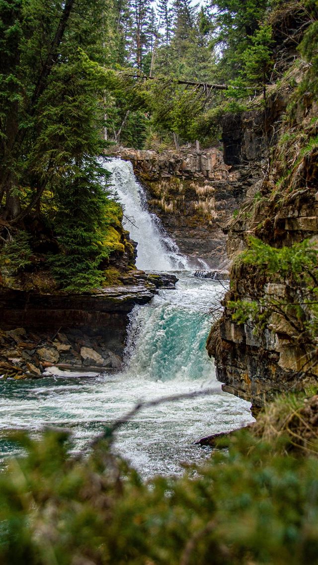 1290x2796 water falls in the middle of the forest -  iPhone Wallpaper