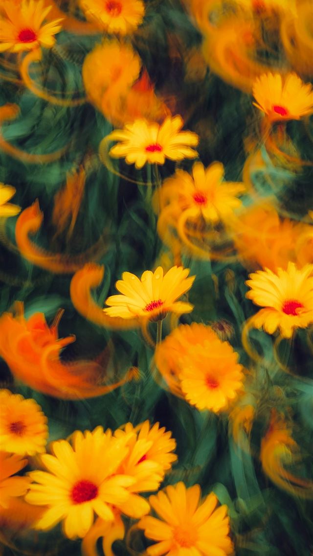 1290x2796 A bunch of flowers that are in the grass -  iPhone Wallpaper