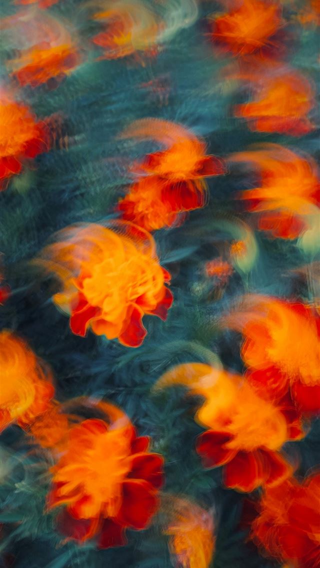 1290x2796 A blurry photo of a bunch of flowers -  iPhone Wallpaper