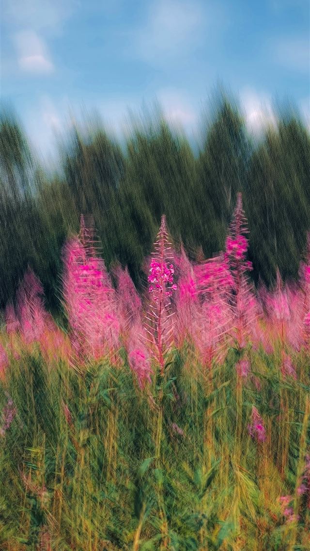 1290x2796 A blurry photo of pink flowers in a field -  iPhone Wallpaper
