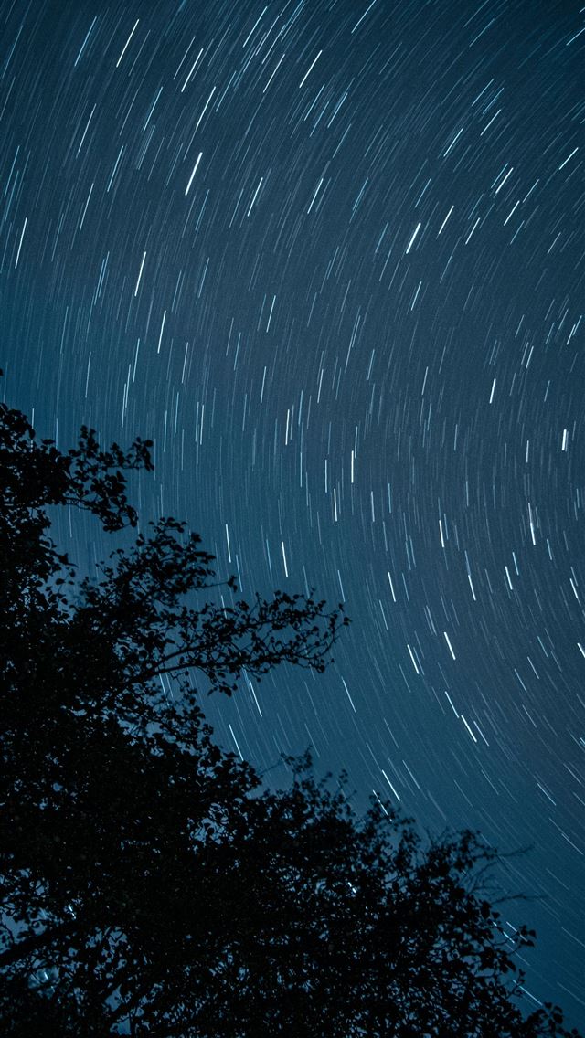 1290x2796 The night sky with stars and a tree -  iPhone Wallpaper