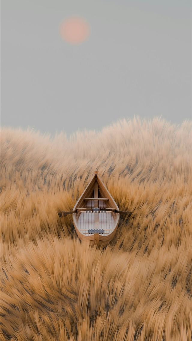 1290x2796 A boat floating in the middle of a dry grass field -  iPhone Wallpaper