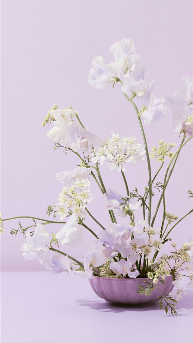 1290x2796 a purple bowl filled with white flowers on top of ... -  iPhone Wallpaper