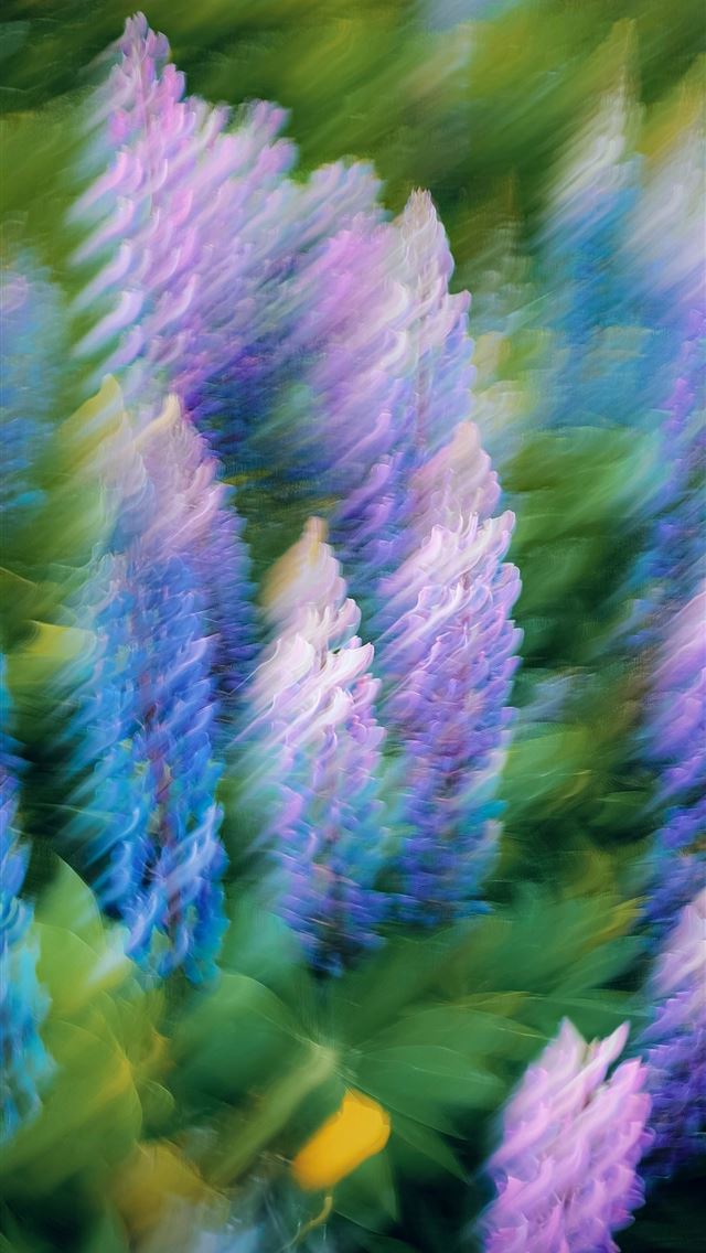 1290x2796 A blurry photo of purple and blue flowers -  iPhone Wallpaper