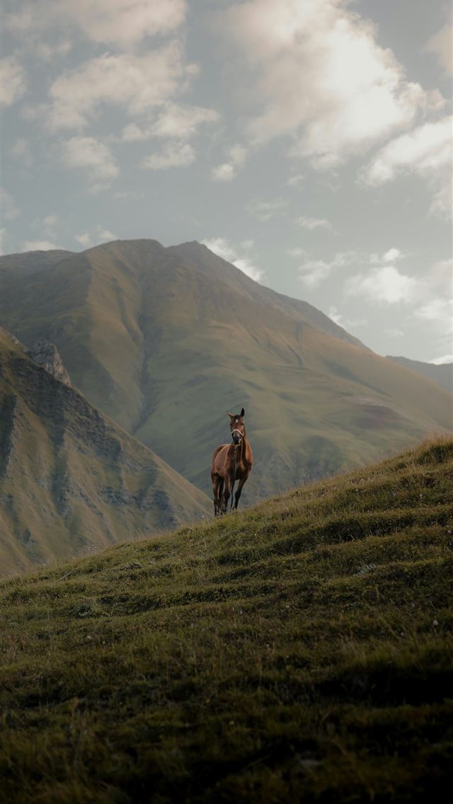 1290x2796 person standing on green grass field near brown mo... -  iPhone Wallpaper
