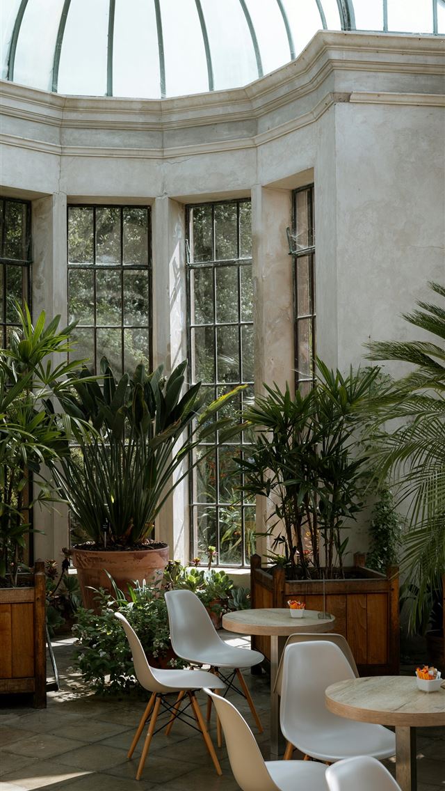 1290x2796 a room filled with lots of potted plants -  iPhone Wallpaper