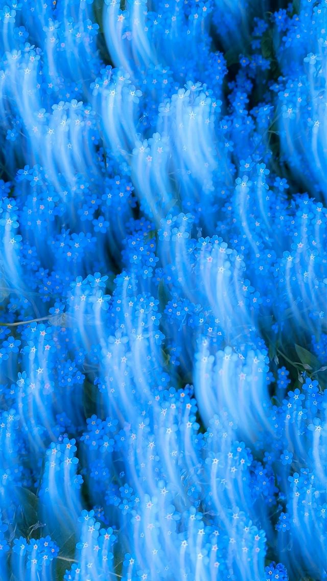 1290x2796 A bunch of blue flowers that are in the grass -  iPhone Wallpaper