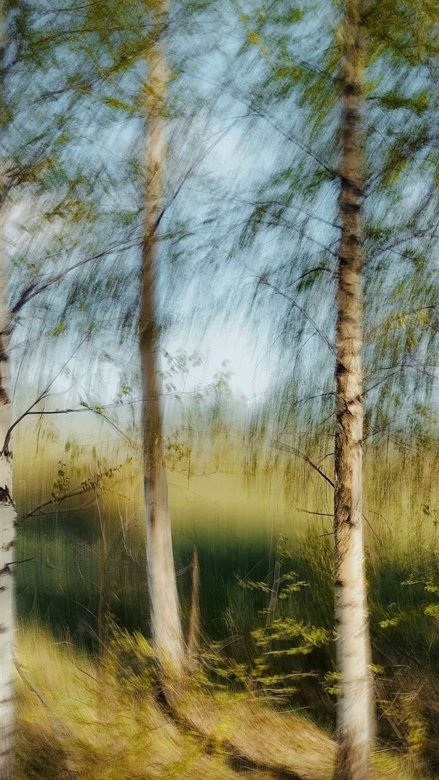 1290x2796 A blurry photo of a forest with trees -  iPhone Wallpaper