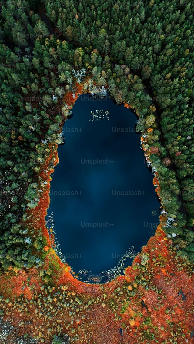 1290x2796 An aerial view of a lake surrounded by trees -  iPhone Wallpaper