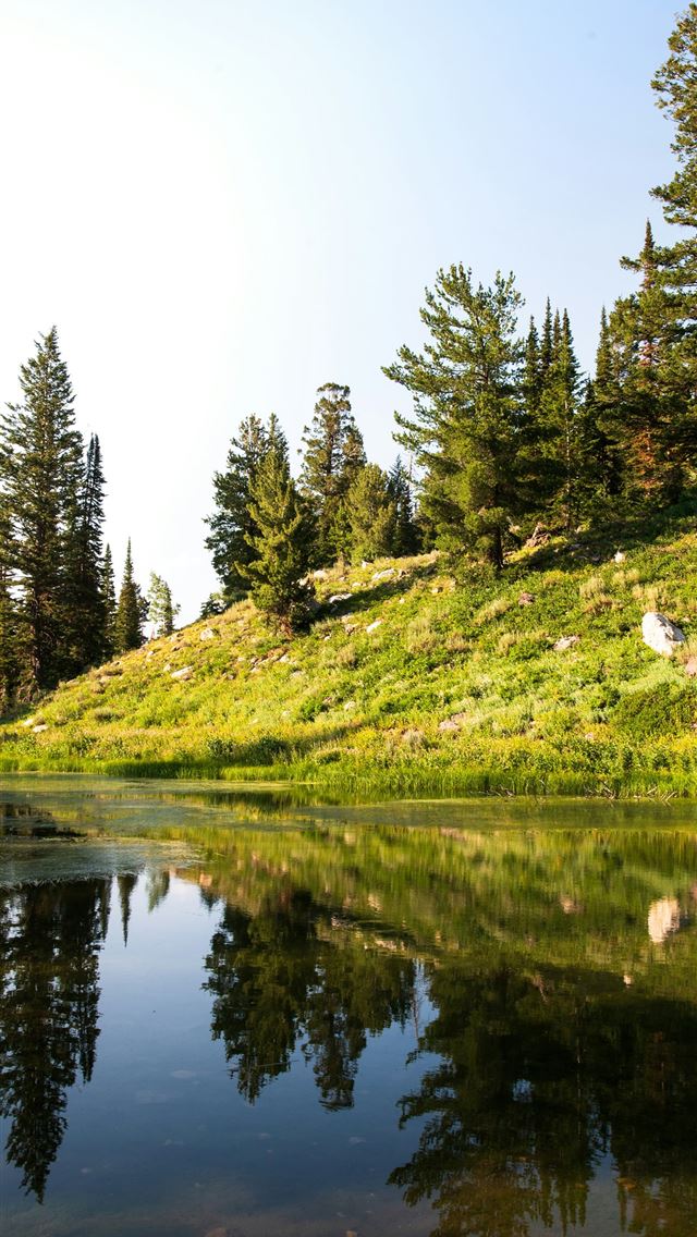1290x2796 A lake surrounded by a lush green hillside -  iPhone Wallpaper