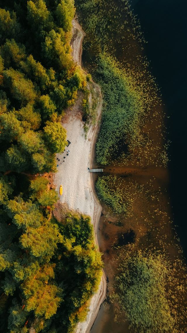 640x1136 Aerial view of forest meeting dark water at sunris... -  iPhone Wallpaper