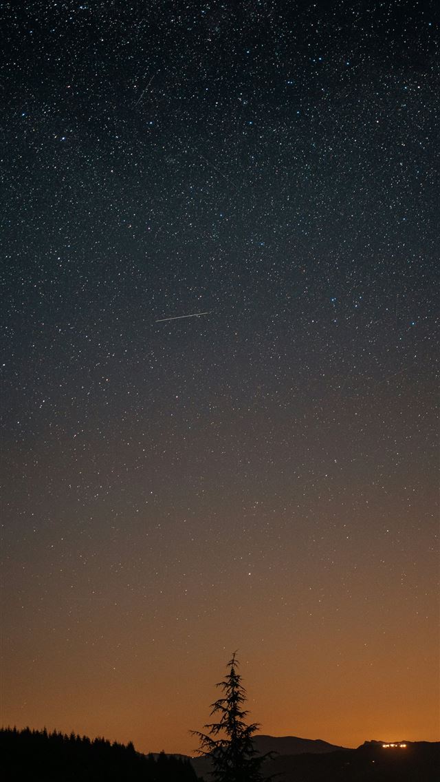 1290x2796 Starry night sky over silhouetted mountains and tr... -  iPhone Wallpaper