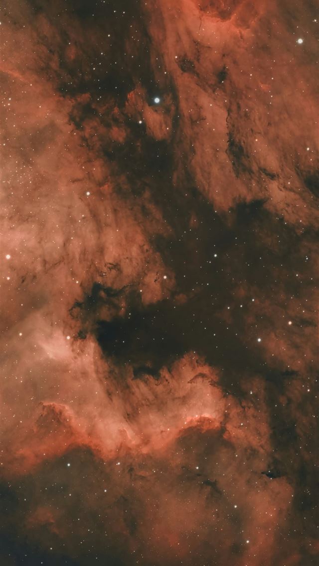 1290x2796 Vibrant red and dark nebula with scattered stars -  iPhone Wallpaper