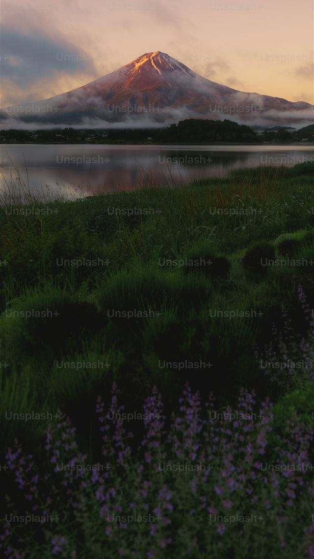 1290x2796 Sunrise illuminates mount fuji and its reflection  -  iPhone Wallpaper