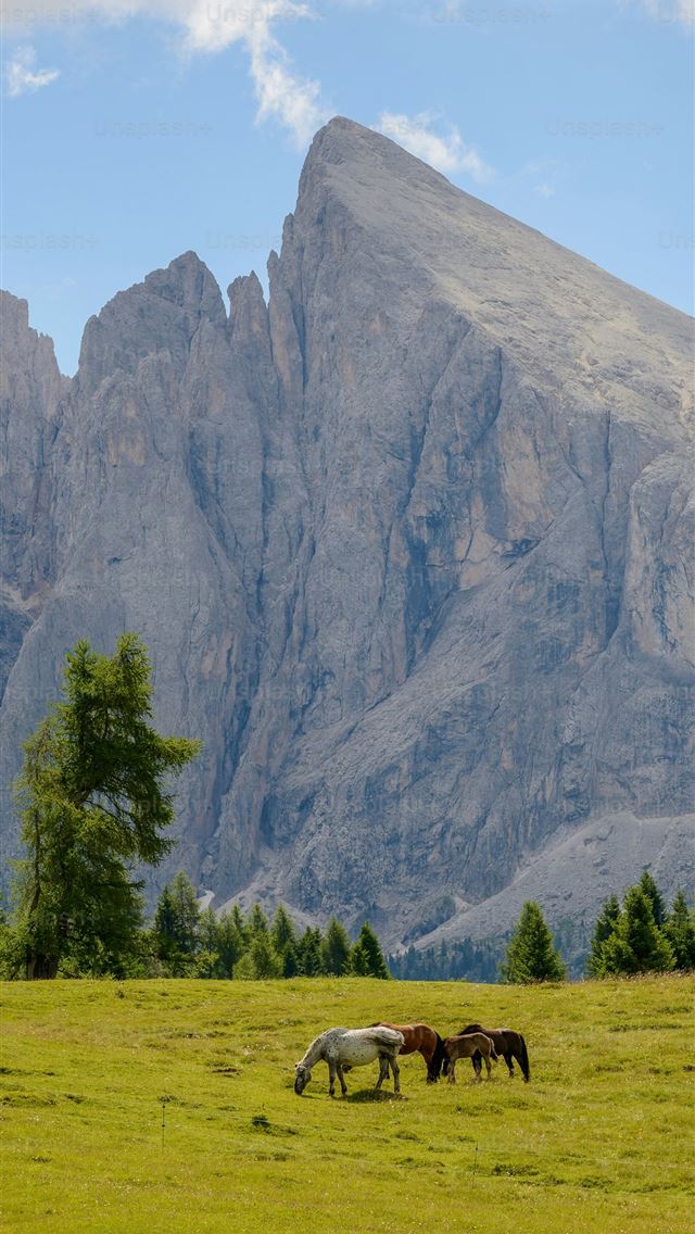 1290x2796 three horses grazing in a field with mountains in ... -  iPhone Wallpaper