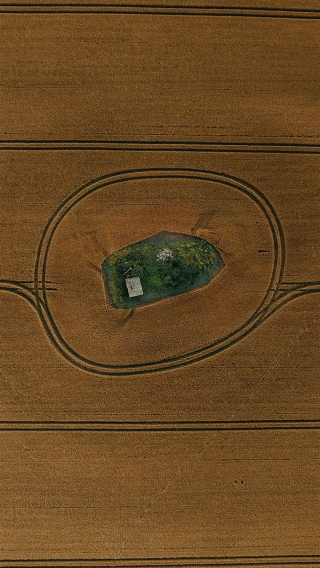 1290x2796 Aerial view of a small island in a field  -  iPhone Wallpaper