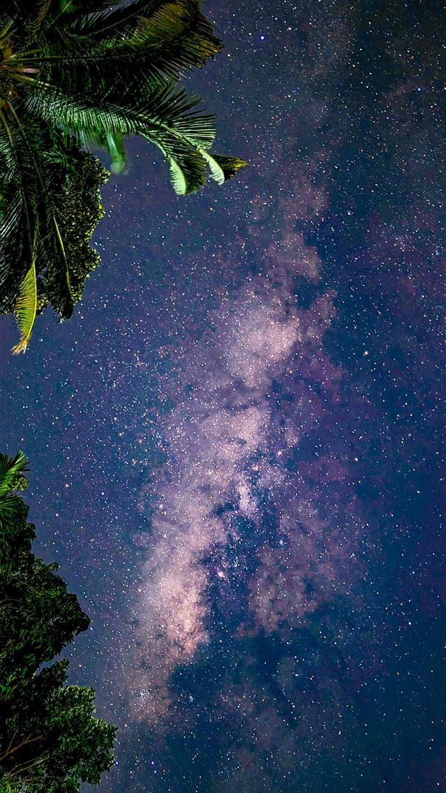 1290x2796 The night sky is filled with stars and trees -  iPhone Wallpaper