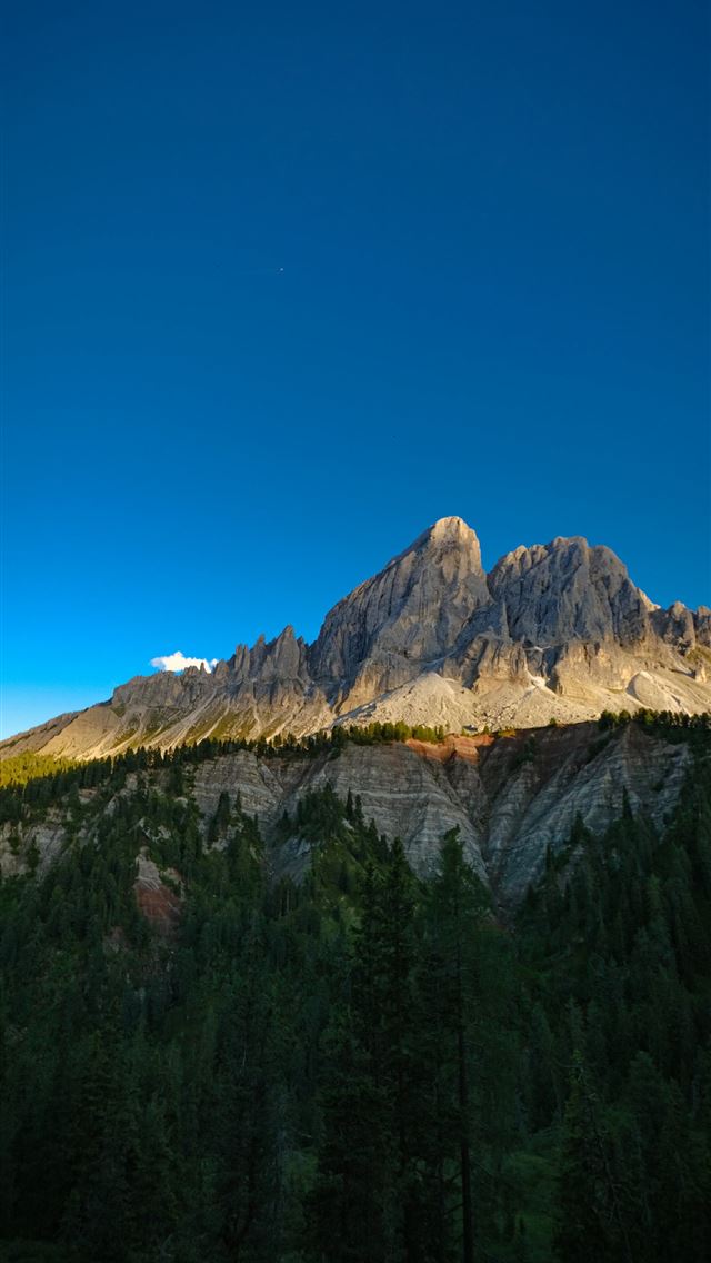 1290x2796 A view of a mountain with trees in the foreground -  iPhone Wallpaper