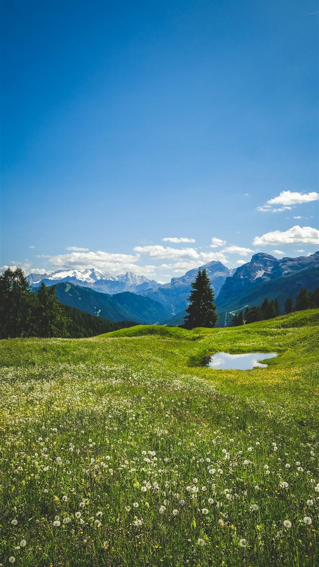 1290x2796 A grassy field with a small pond in the middle of ... -  iPhone Wallpaper