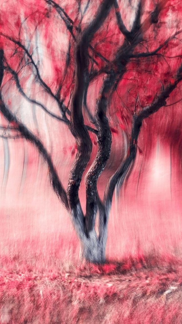 1290x2796 A painting of a tree with red leaves -  iPhone Wallpaper