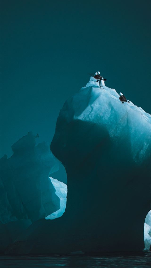 1290x2796 A large iceberg floating in the ocean with people ... -  iPhone Wallpaper