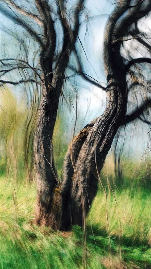 1290x2796 A painting of a tree in a grassy field -  iPhone Wallpaper