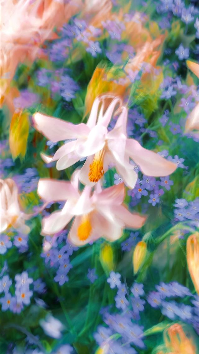 1290x2796 A bunch of flowers that are in the grass -  iPhone Wallpaper