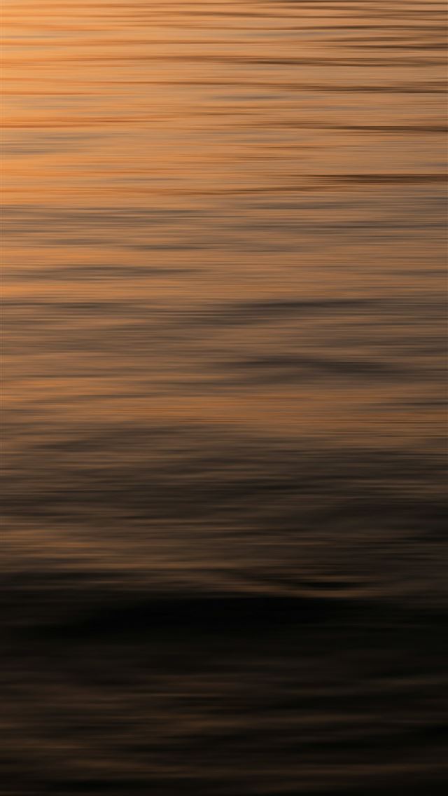 1290x2796 A bird flying over a body of water at sunset -  iPhone Wallpaper