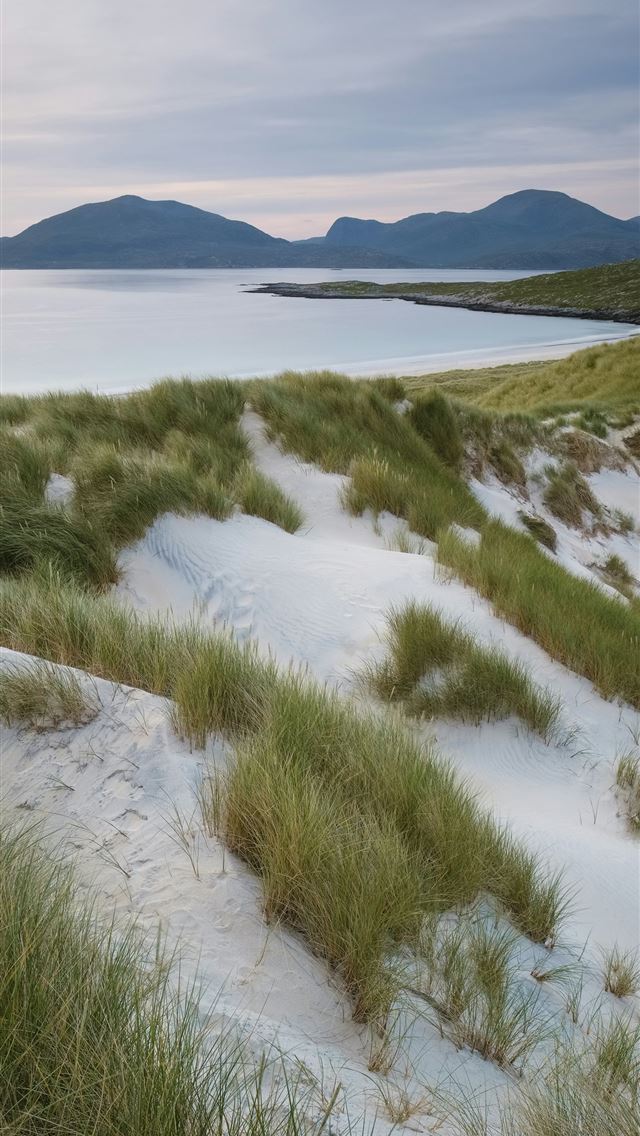 1290x2796 green grass field near body of water during daytim... -  iphone 13 Wallpaper