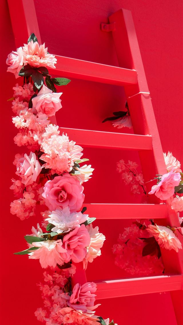 1290x2796 pink and white flowers on pink wooden frame -  iPhone Wallpaper