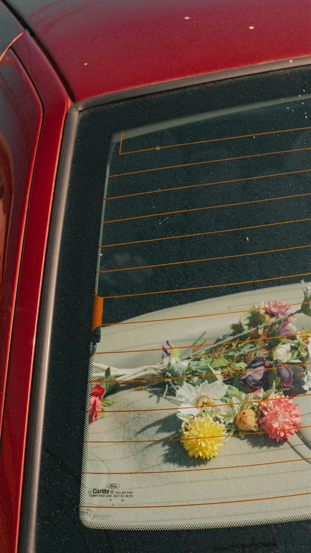 1290x2796 a car with a picture of flowers on the grill -  iPhone Wallpaper
