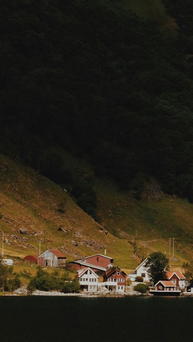 1290x2796 a boat floating on top of a lake next to a lush gr... -  iPhone Wallpaper