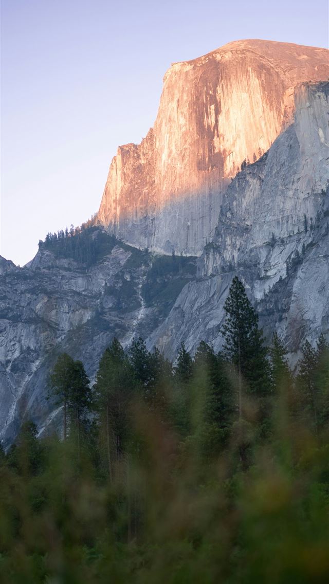 1290x2796 A view of a mountain with trees in the foreground -  iPhone Wallpaper