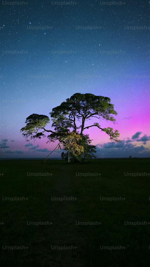 1290x2796 A tree in a field under a purple and blue sky -  iPhone Wallpaper