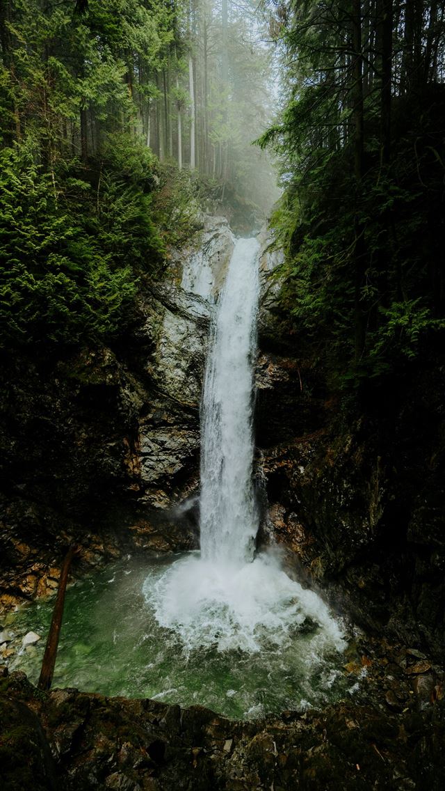 1290x2796 a waterfall in the middle of a forest -  iPhone Wallpaper